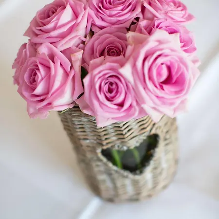 호텔 Rosenstadt Forst 포르스트