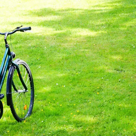 호텔 Rosenstadt Forst 포르스트