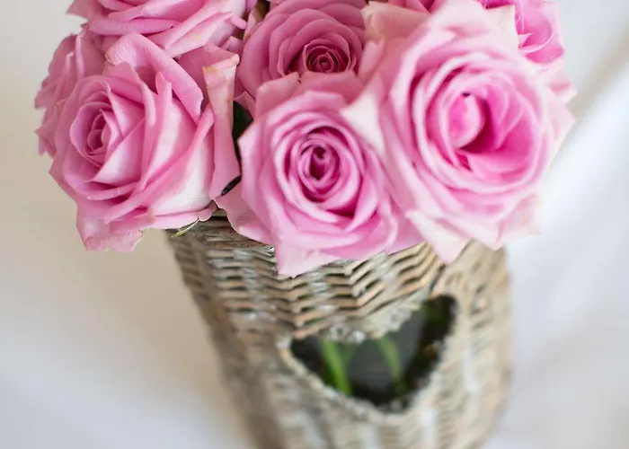 فندق Rosenstadt Forst فورست