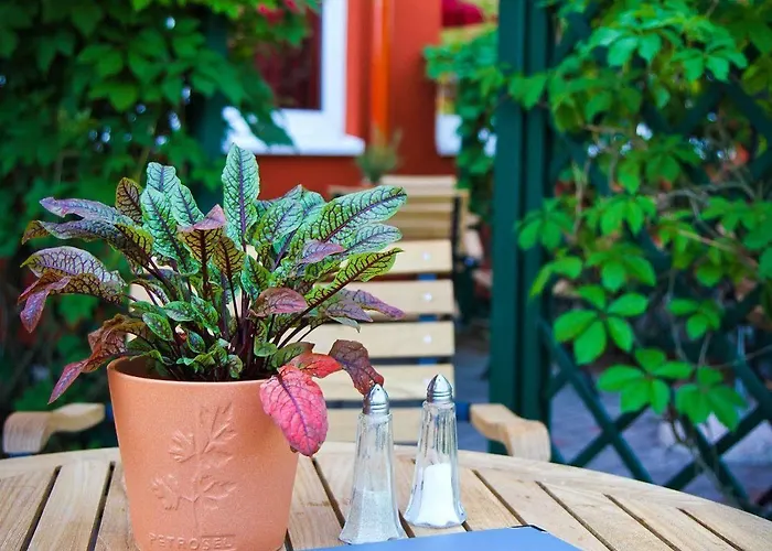 Rosenstadt Forst 3* فورست