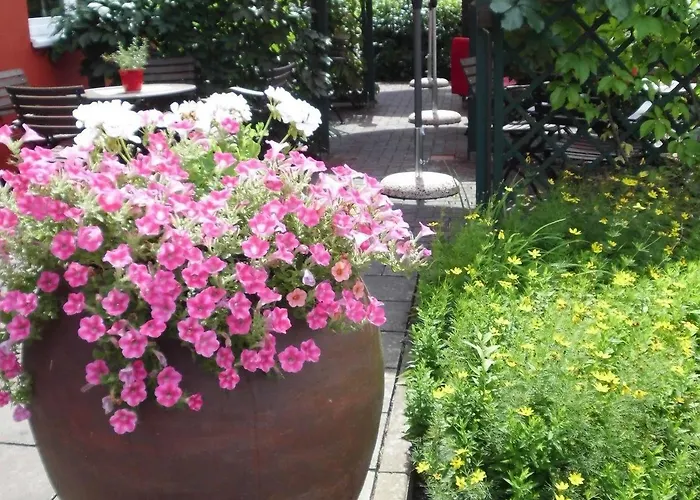 Rosenstadt Forst فندق